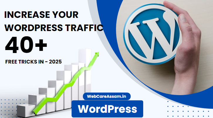 WordPress Traffic 2025